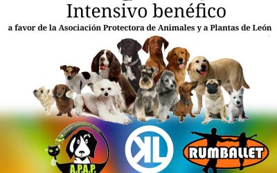 Curso intensivo benéfico de Kizomba
